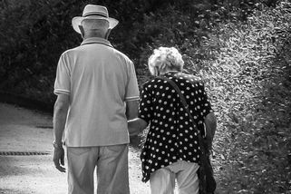 Senior? Univerzální generátor starostí. Informace pro mladší ročníky - Médium.cz
